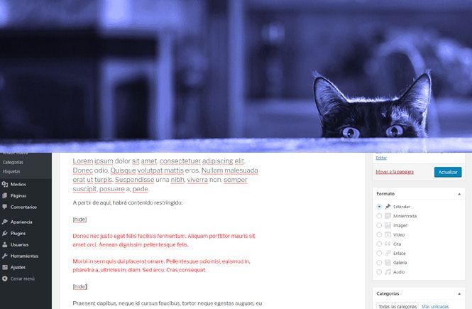 esconder cierto contenido en WordPress con Hide This