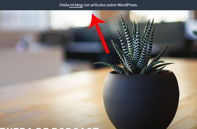 Agregar una barra de notificaciones por código